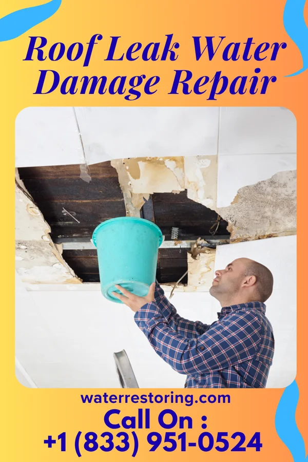 Roof Leak Water Damage Repair in Benkelman, NE